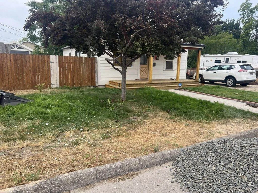 a house with a tree in front of it